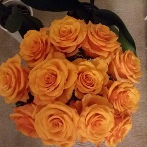 Meet your Posher, Piper